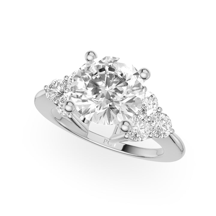 Bee Side Stone With High Set Engagement Ring