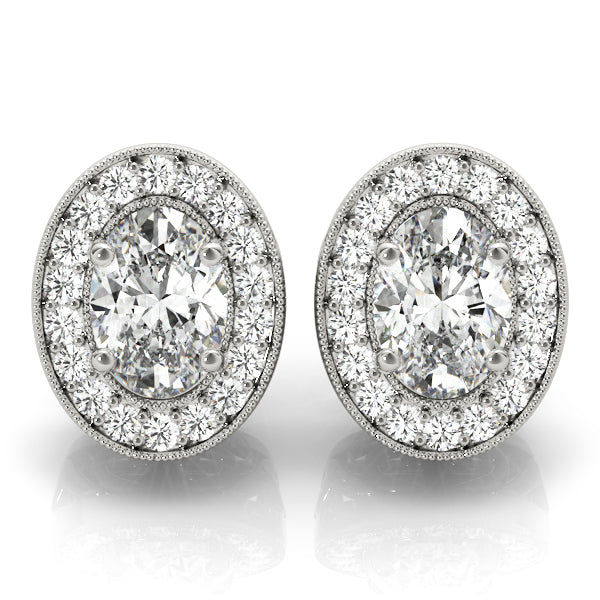 Cleo Oval Halo Studs Earrings in Platinum