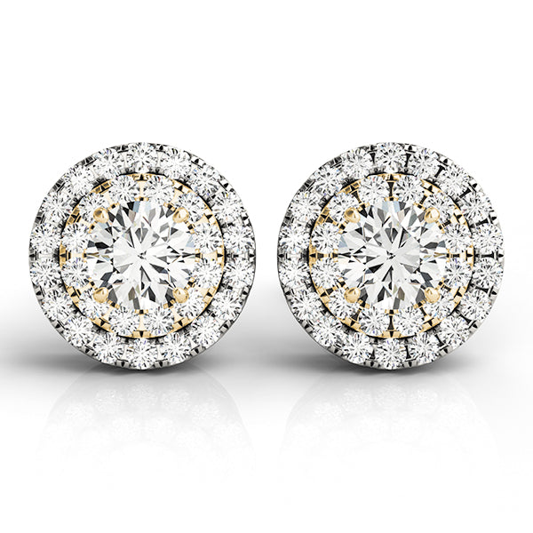 Maria Round Double Halo Studs Earrings in Yellow Gold