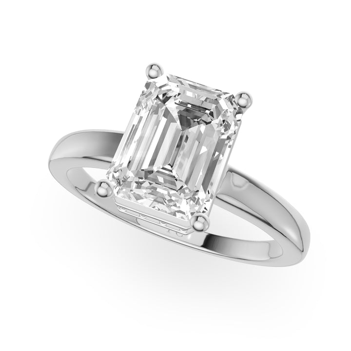 Clan Hidden Engagement Ring